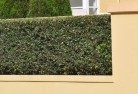 Square Mileprivacy-fencing-28.jpg; ?>